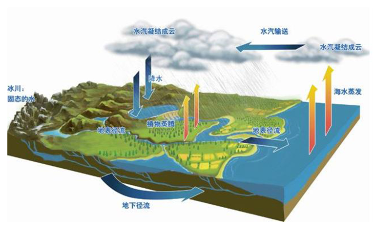 森林蒸騰與水循環(huán)樹木如何蒸發(fā)水分與大氣共享