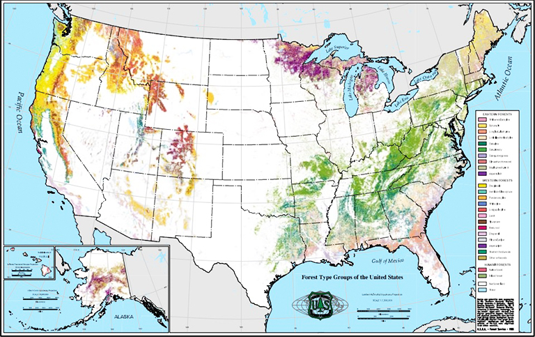 當(dāng)前美國森林類型和密度圖-美國樹木的位置圖