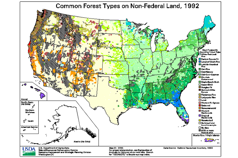 美國(guó)常見森林覆蓋類型的地圖-木材類型的樹木地理范圍圖