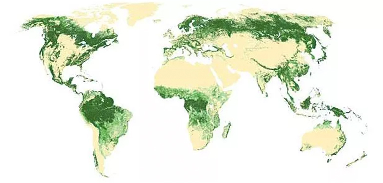 全球森林覆蓋圖