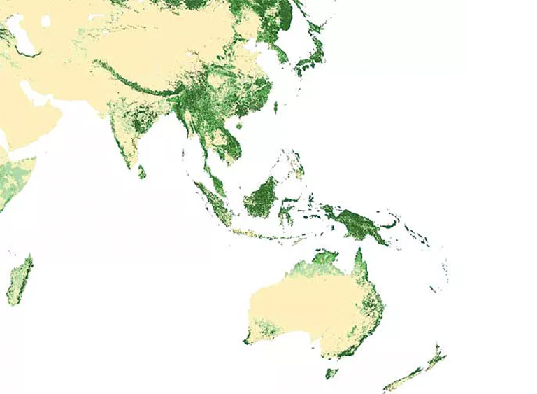 東亞和環(huán)太平洋森林覆蓋圖