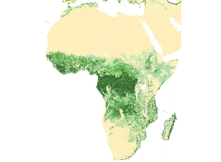 非洲森林覆蓋地圖