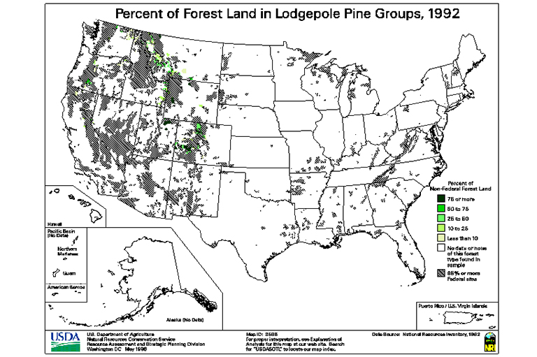 Lodgepole Pine Type地圖