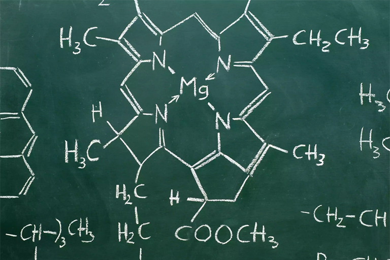 鎂是葉綠素分子的核心