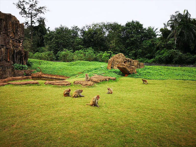 動(dòng)植物園