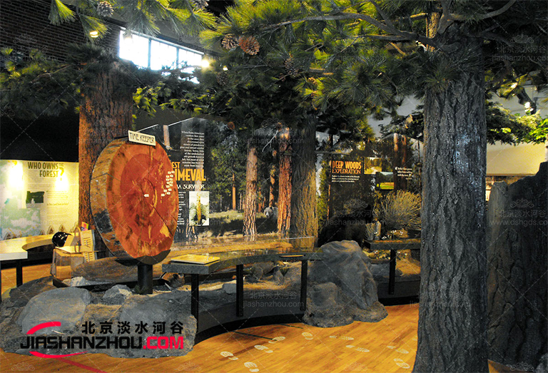 pine-trees-museum.jpg